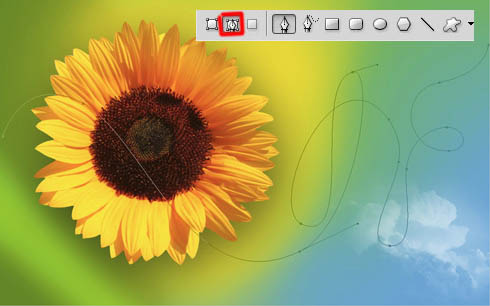 Photoshop打造简洁可爱的花朵壁纸