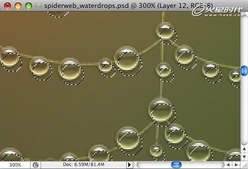 Photoshop打造挂满露珠的蜘蛛网