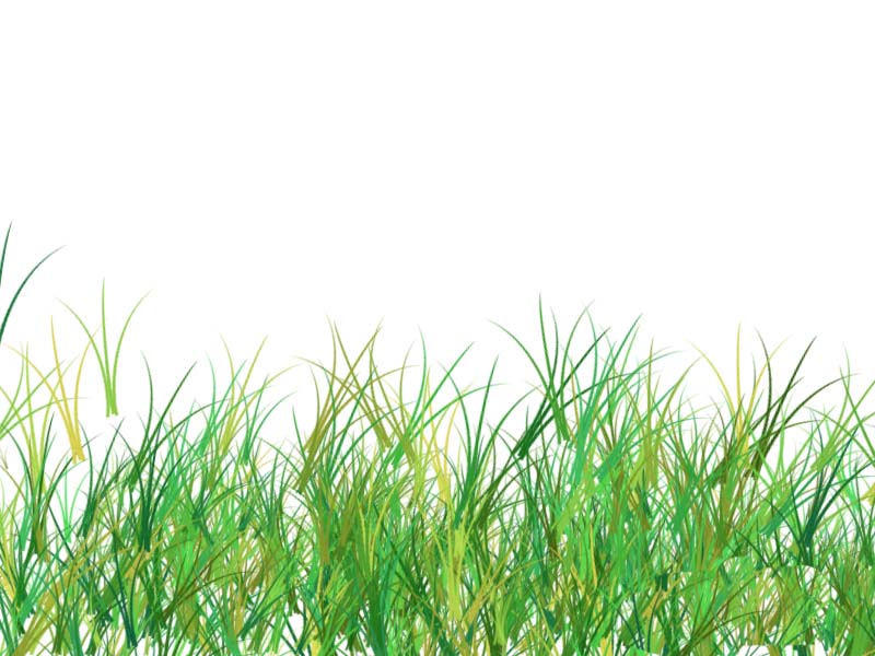 ps怎么使用画笔工具绘制大片草地?