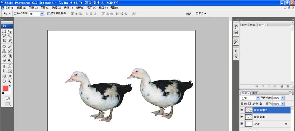 PS怎么制作对称的鸭子? ps设计对称图形的教程