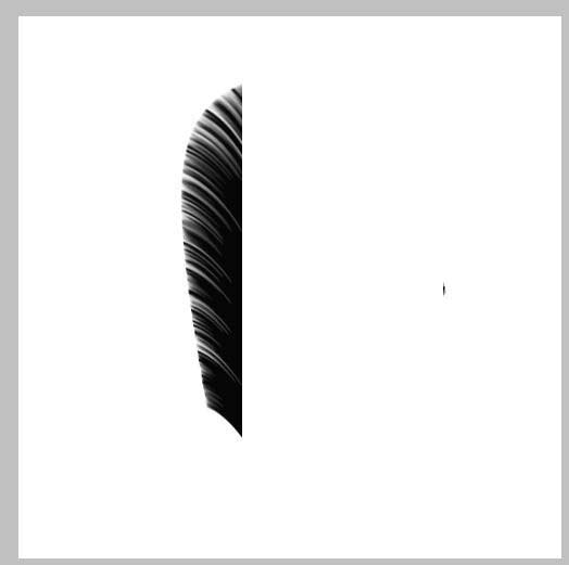 ps怎么画一根丰满的羽毛? ps绘制黑色羽毛的教程