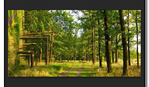 PS平面图森林怎么做成立体空间感效果?