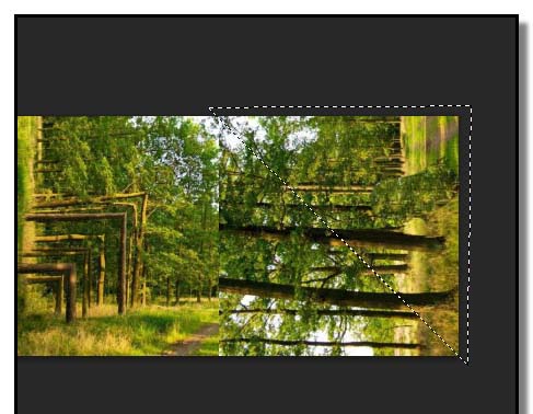 PS平面图森林怎么做成立体空间感效果?