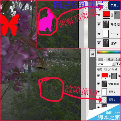 PS油漆桶不能用了怎么办? 解决ps油漆桶不能使用的七种方法