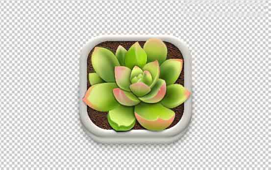 Photoshop设计很Q萌的多肉植物拟物化ICON