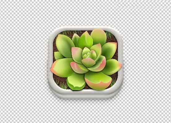 Photoshop设计很Q萌的多肉植物拟物化ICON