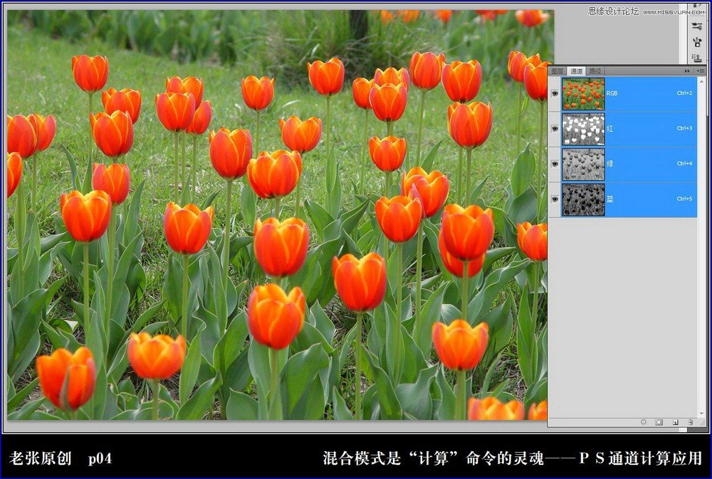 Photoshop利用计算命令计算出精确选区调整图片颜色