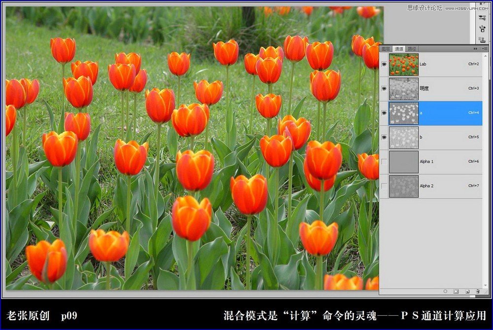 Photoshop利用计算命令计算出精确选区调整图片颜色