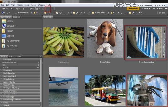 PS不为人知功能:Photoshop的联系表工具的使用方法图文解析
