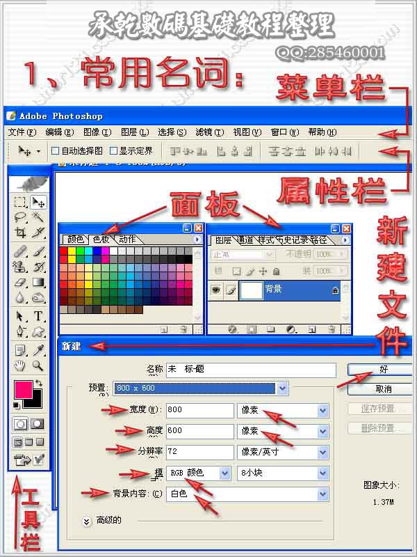 Photoshop新手入门工具使用方法及操作图解篇