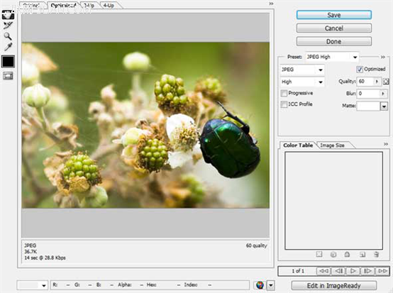 Photoshop将图片存储为WEB所用格式的方法介绍