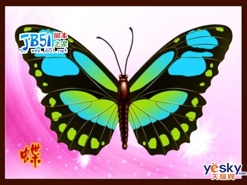 Photoshop路径工具鼠绘美丽的彩色蝴蝶