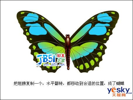 Photoshop鼠绘美丽的彩色蝴蝶10
