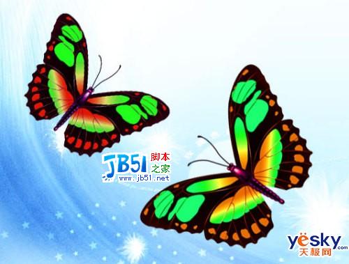 Photoshop鼠绘美丽的彩色蝴蝶12