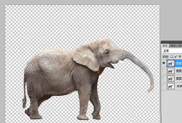 ps怎么让图片中的大象鼻子动起来?