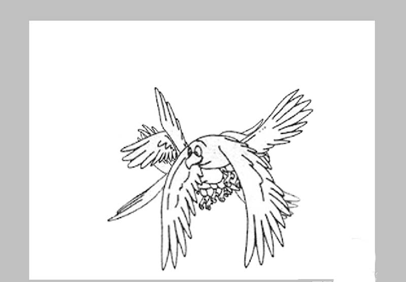 ps怎么给简笔画小鸟添加飞翔的动画效果?