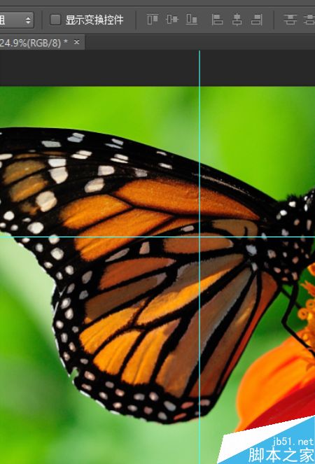 Photoshop添加新建参考线和修改参考线颜色