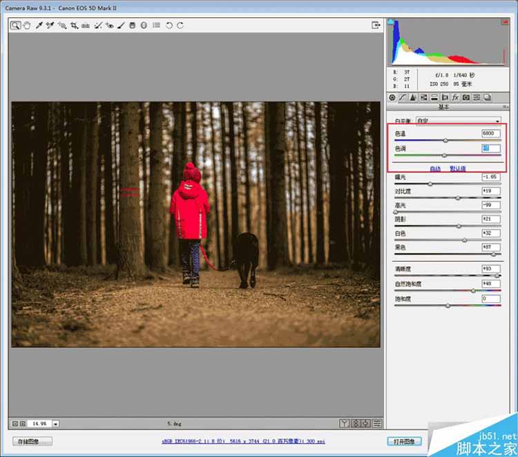 PS Camera RAW调出逆光暖色调的森林小孩图片