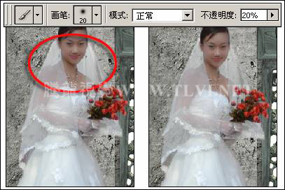 photoshop下为婚纱照片增加艺术感染力教材