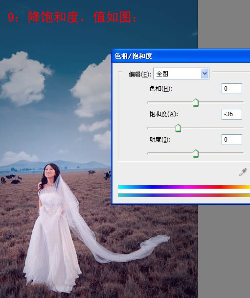 Photoshop 清晰开阔的蓝紫色草原婚片