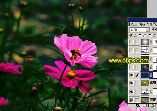 Photoshop 斑斓的花朵图片实现方法