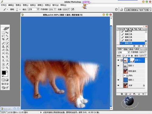 photoshop 利用橡皮及蒙版抠出长毛的小狗