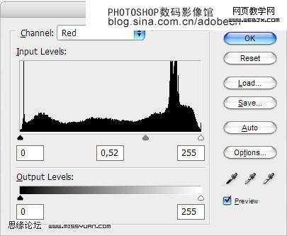 photoshop 照片整蛊之脸部缝制一个布标签