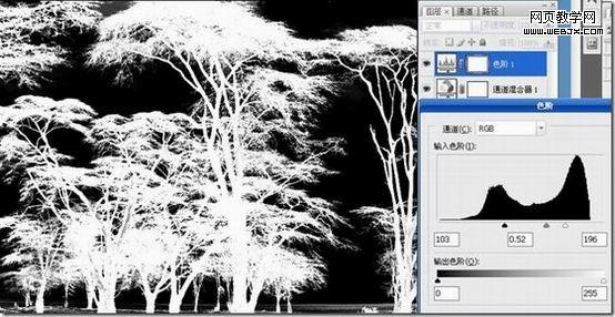 photoshop 利用反相操作快速抠出复杂的树木