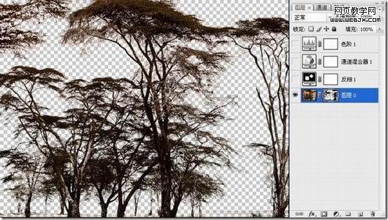 photoshop 利用反相操作快速抠出复杂的树木