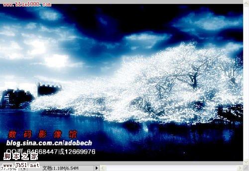 photoshop 树外景照片添加雪景般的梦幻效果