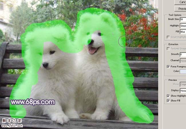 Photoshop 抽出滤镜抠出白色的小狗