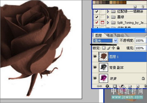 Photoshop教程：制作诱人的巧克力玫瑰