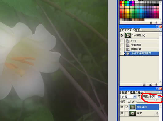 Photoshop处理数码照片的背景alt=花卉照片处理：简化背景突出主体