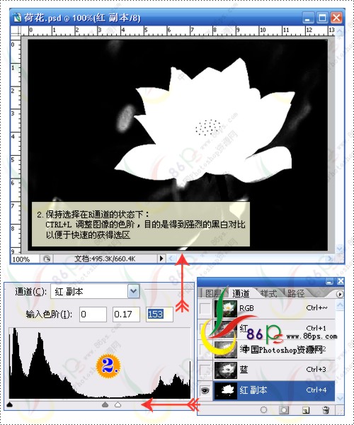 花卉照片处理 Photoshop照片处理教程_软件云jb51.net转载