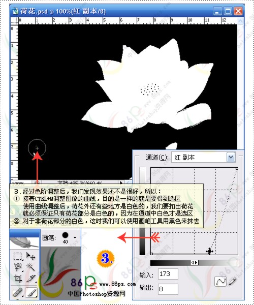 花卉照片处理 Photoshop照片处理教程_软件云jb51.net转载