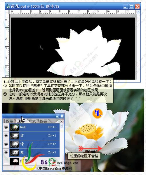 花卉照片处理 Photoshop照片处理教程_软件云jb51.net转载
