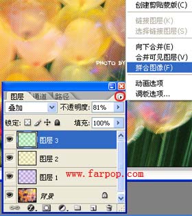 用Photoshop简单抽丝做特色非主流图片_软件云jb51.net转载