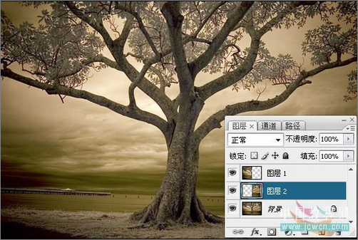 Photoshop调色：树木照片的冷暖色调