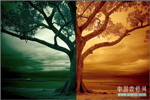 Photoshop调色：树木照片的冷暖色调