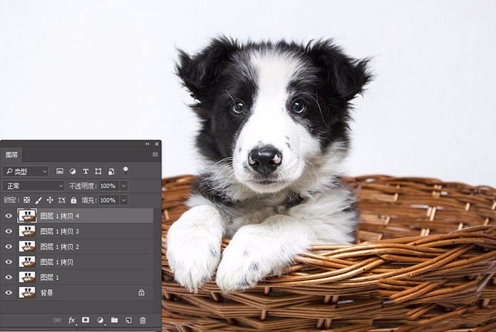 photoshop快速制作黑白版画效果的个性狗狗图片教程