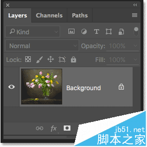 Photoshop CC油画滤镜实例教程讲解