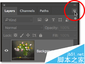 Photoshop CC油画滤镜实例教程讲解