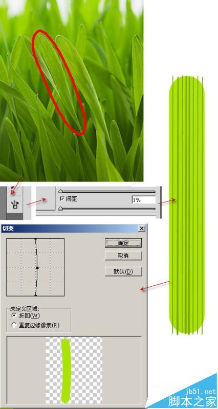 ps怎么使用矢量细节描绘的方法画微距小草?