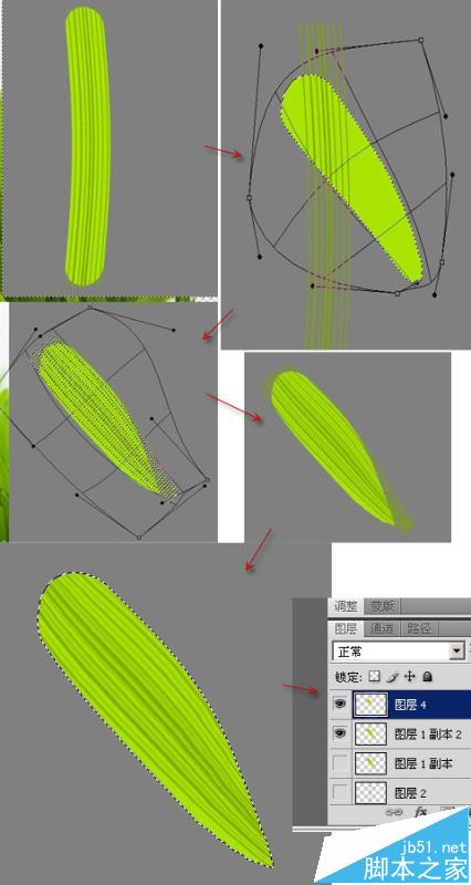 ps怎么使用矢量细节描绘的方法画微距小草?