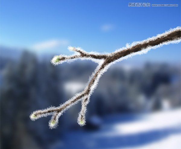 Photoshop使用霜冻笔刷制作结冰树枝效果
