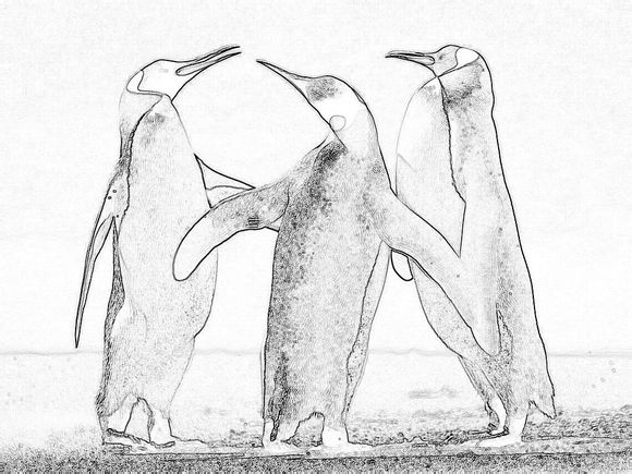 PS一分钟把彩色企鹅图片转化为黑白铅笔画