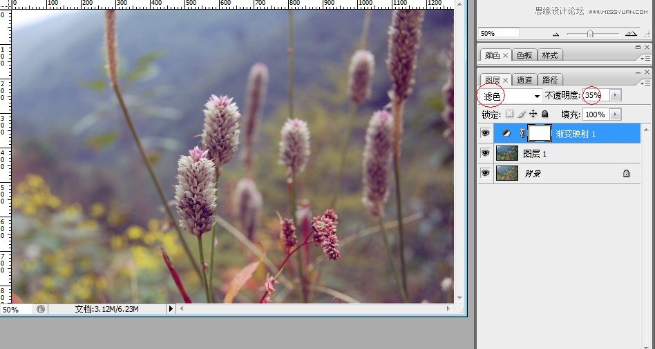 Photoshop调出小清新日系效果的蒲草植物图片