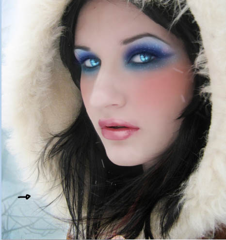 PS打造冬季冷艳的彩妆人像照片