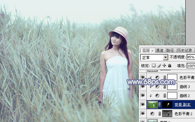 Photoshop将芦草中的美女图片打造唯美的粉调青蓝色