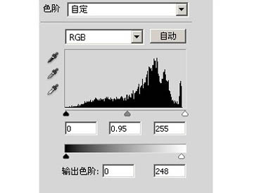 怎样用Photoshop(ps)将图片调为泛白青色效果实例